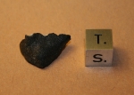 "Thompson Stone" - 2.33 grams