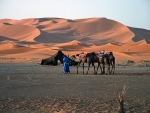 Sahara Desert Nomad