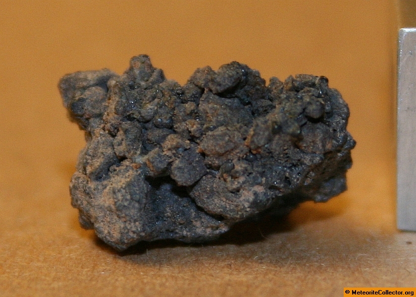 Tamdakht - 1.4 grams