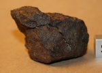 Wellman (c) - 57.3 grams
